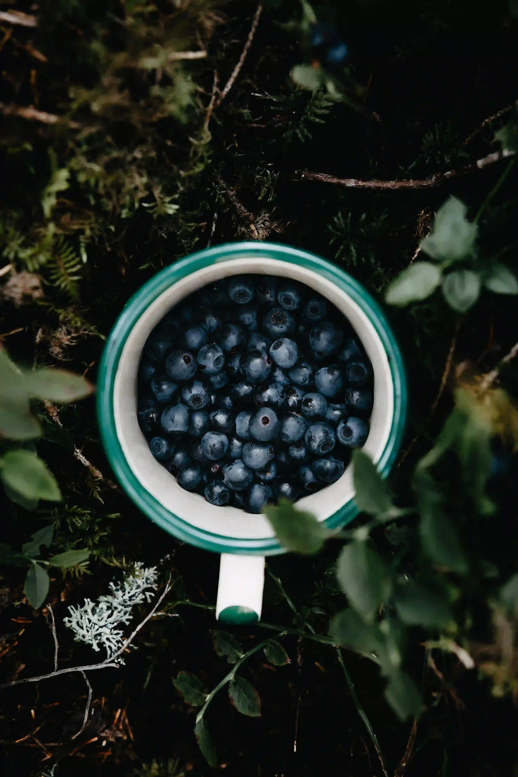 taza llena de arandanos